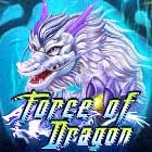 Force of Dragon screenshot